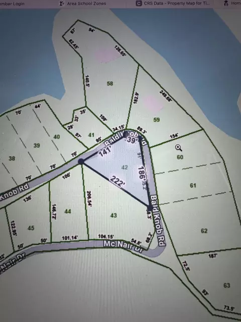 0 Bald Knob Rd, Tennessee Ridge, TN 37178