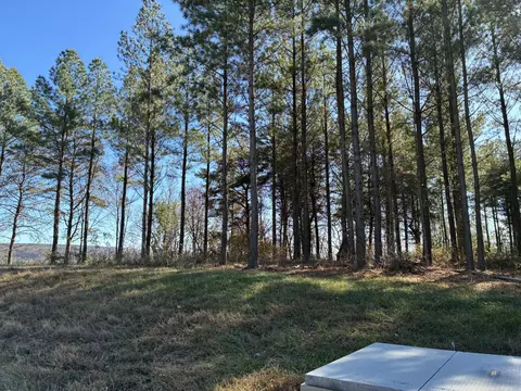 4690 Split Rail Way, Guild, TN 37340 photo 3