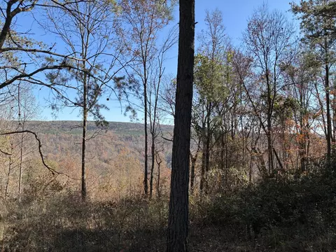 4690 Split Rail Way, Guild, TN 37340 photo 39