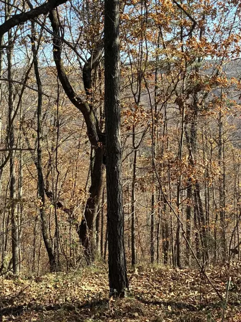 4690 Split Rail Way, Guild, TN 37340 photo 32