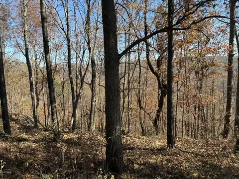 4690 Split Rail Way, Guild, TN 37340 photo 33