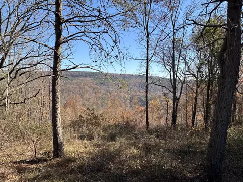 4690 Split Rail Way, Guild, TN 37340 photo 43
