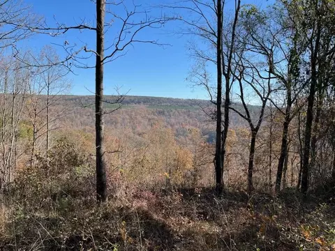 4690 Split Rail Way, Guild, TN 37340 photo 37
