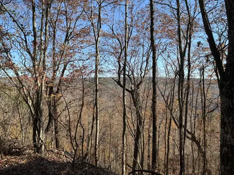 4690 Split Rail Way, Guild, TN 37340 photo 35