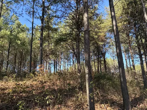 4690 Split Rail Way, Guild, TN 37340 photo 5