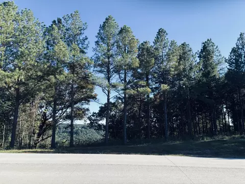 4690 Split Rail Way, Guild, TN 37340 photo 49