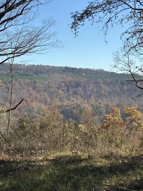 4690 Split Rail Way, Guild, TN 37340 photo 22