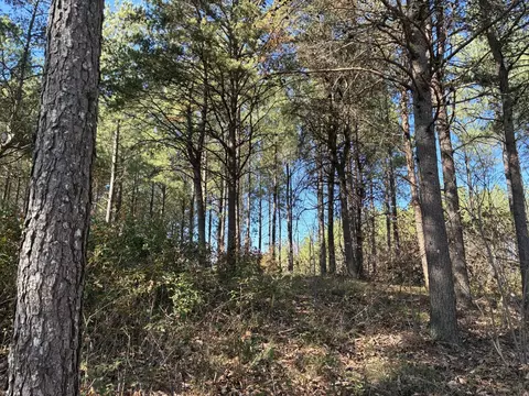 4690 Split Rail Way, Guild, TN 37340 photo 6