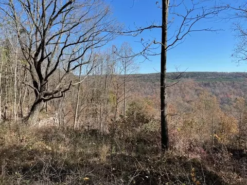 4690 Split Rail Way, Guild, TN 37340 photo 38