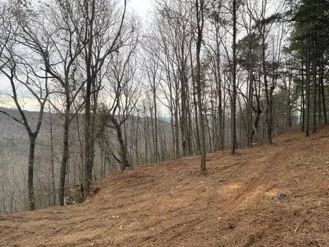 4690 Split Rail Way, Guild, TN 37340 photo 10