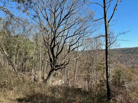 4690 Split Rail Way, Guild, TN 37340 photo 36