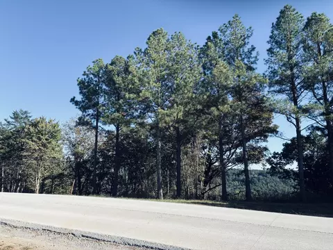 4690 Split Rail Way, Guild, TN 37340 photo 50