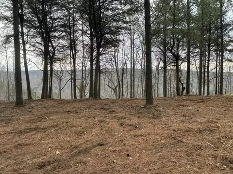 4690 Split Rail Way, Guild, TN 37340 photo 7