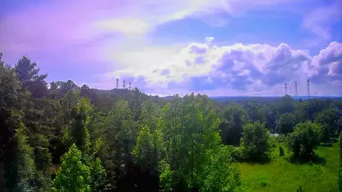 6227 River Rd, Decatur, TN 37322