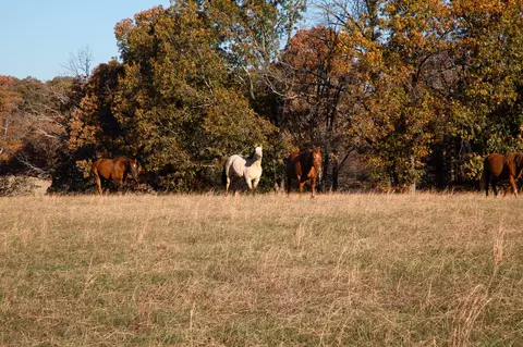 7252 Northwest Hwy, Fairview, TN 37062