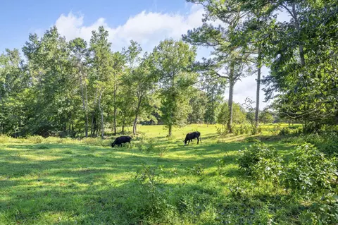 375 Cooper Rd, Rock Spring, GA 30739 photo 57