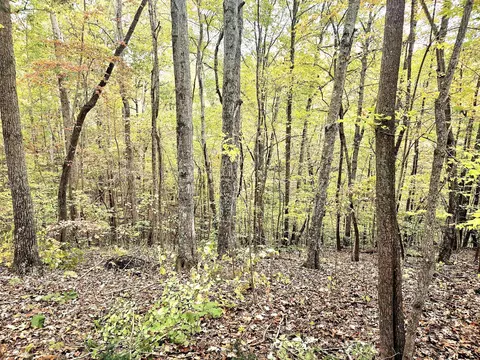 0 Drew Ct, Smithville, TN 37166