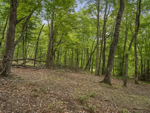 0 Eagle Rock Rd, Monteagle, TN 37356 photo 24