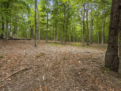 0 Eagle Rock Rd, Monteagle, TN 37356 photo 18