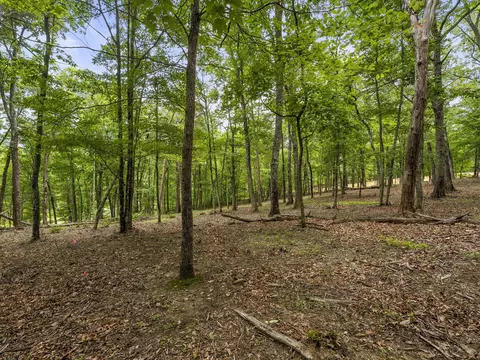 0 Eagle Rock Rd, Monteagle, TN 37356 photo 21