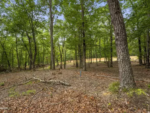 0 Eagle Rock Rd, Monteagle, TN 37356 photo 23