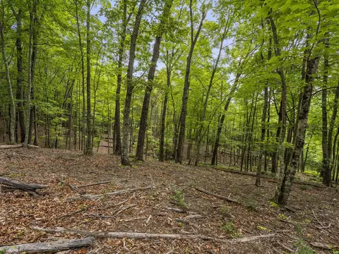 0 Eagle Rock Rd, Monteagle, TN 37356 photo 16