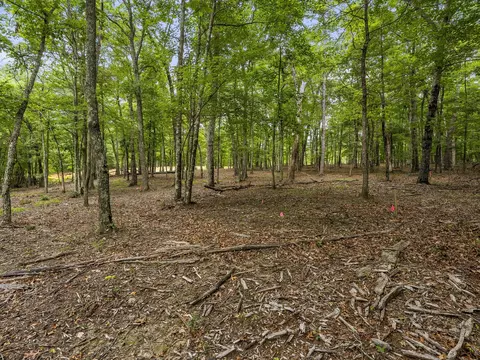 0 Eagle Rock Rd, Monteagle, TN 37356 photo 20