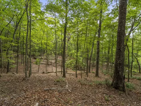 0 Eagle Rock Rd, Monteagle, TN 37356 photo 15