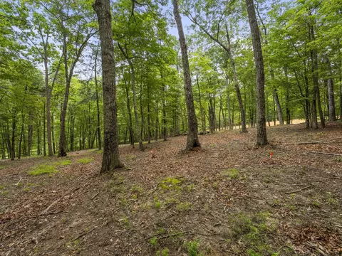 0 Eagle Rock Rd, Monteagle, TN 37356 photo 22