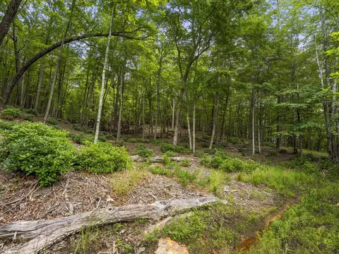 0 Eagle Rock Rd, Monteagle, TN 37356 photo 26