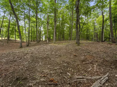 0 Eagle Rock Rd, Monteagle, TN 37356 photo 17