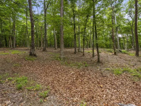0 Eagle Rock Rd, Monteagle, TN 37356 photo 19