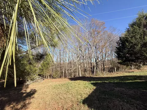 0 State Line Rd, Loretto, TN 38469 photo 7