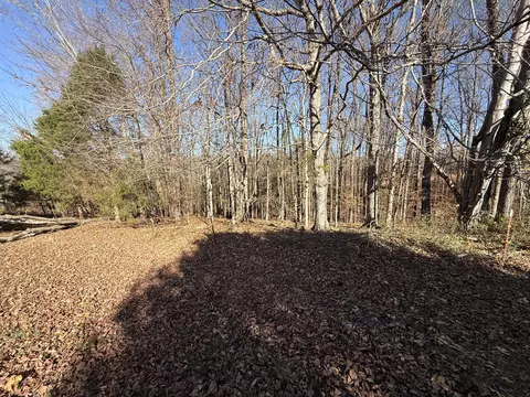 0 State Line Rd, Loretto, TN 38469 photo 8
