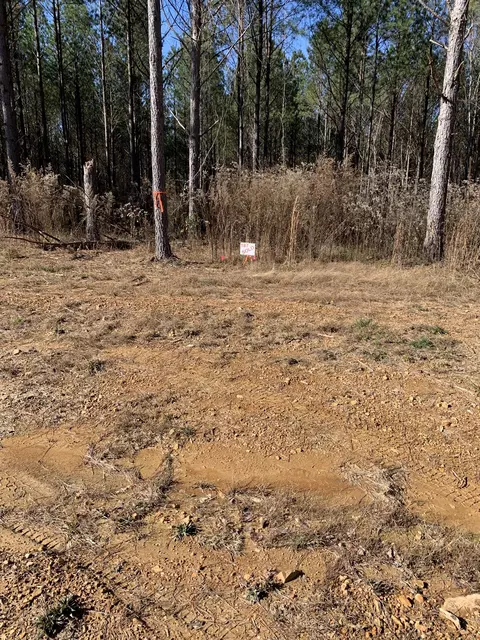 230 Fernwood Dr, Hohenwald, TN 38462
