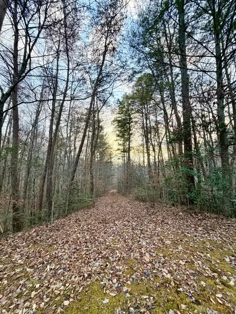 1 Wildwood Way, Sevierville, TN 37876