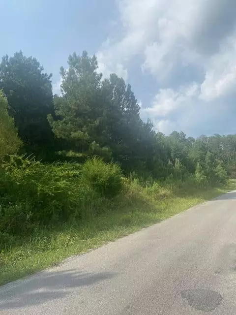 151 Casson Rd, Ocoee, TN 37361 photo 4