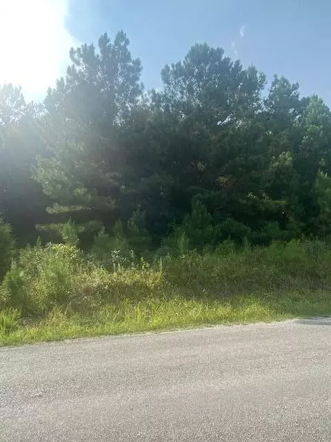 151 Casson Rd, Ocoee, TN 37361 photo 3