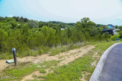 0 Blue Herring Way, Sevierville, TN 37876