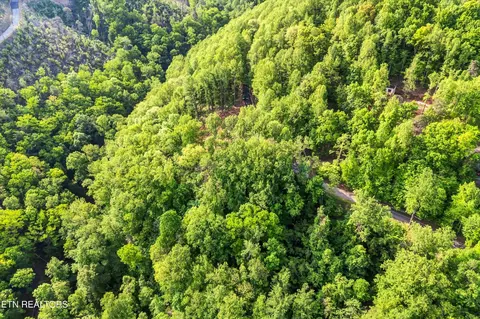 27 Sugar Maple Loop Rd, Sevierville, TN 37862 photo 21
