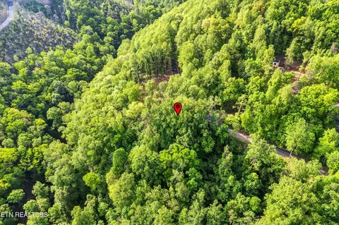 27 Sugar Maple Loop Rd, Sevierville, TN 37862 photo 20