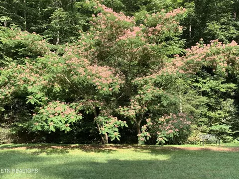 27 Sugar Maple Loop Rd, Sevierville, TN 37862 photo 45