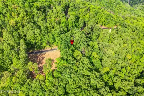 27 Sugar Maple Loop Rd, Sevierville, TN 37862 photo 8