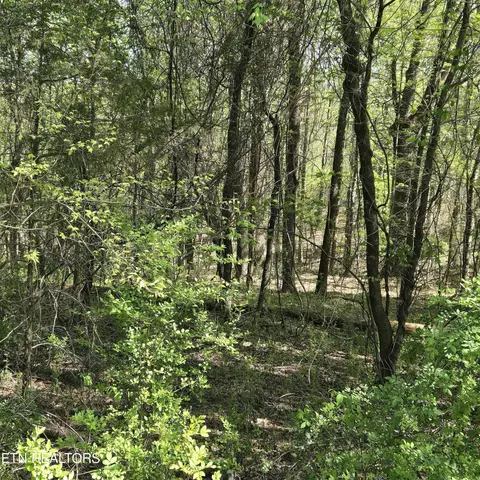 68 King Hill Rd, Spring City, TN 37381