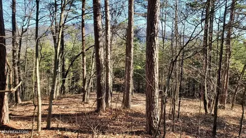 5019 Allegheny Cove Way, Maryville, TN 37803