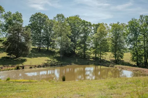 875 Waterloo Rd, Westpoint, TN 38486 photo 79