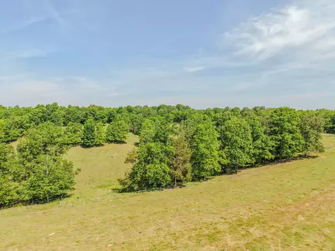 875 Waterloo Rd, Westpoint, TN 38486 photo 85