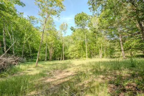 875 Waterloo Rd, Westpoint, TN 38486 photo 61
