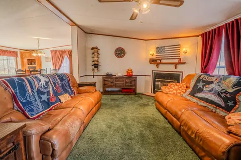 875 Waterloo Rd, Westpoint, TN 38486 photo 9