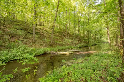 875 Waterloo Rd, Westpoint, TN 38486 photo 65
